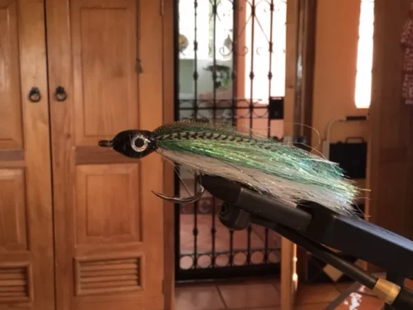 Saltwater Fly - The Parrot Cape
