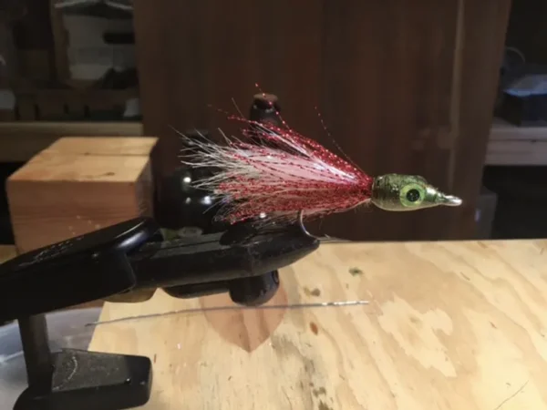 Saltwater Fly - The Wonderful Bait